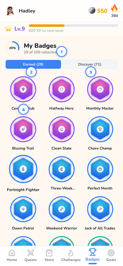 Badge collection